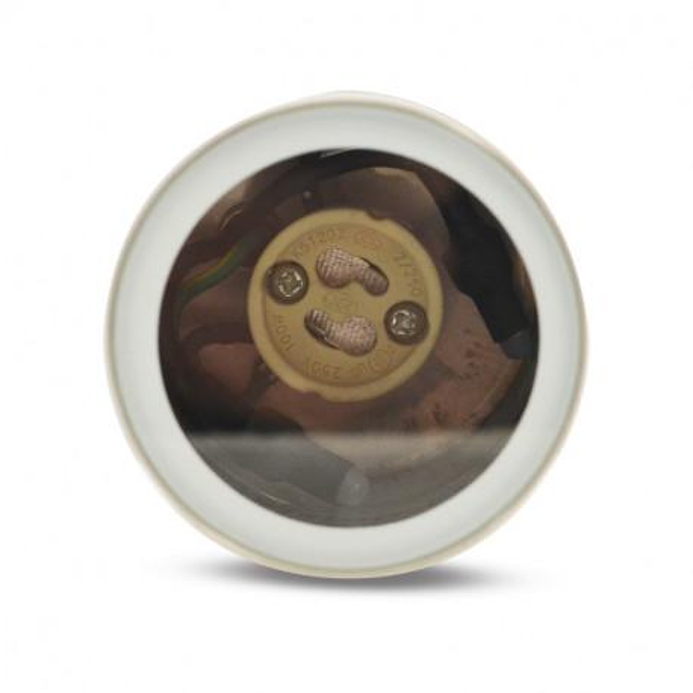 PROJ PIQ 1GU10 INX 316L